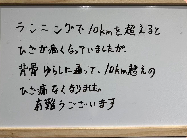 実績・お客様の声