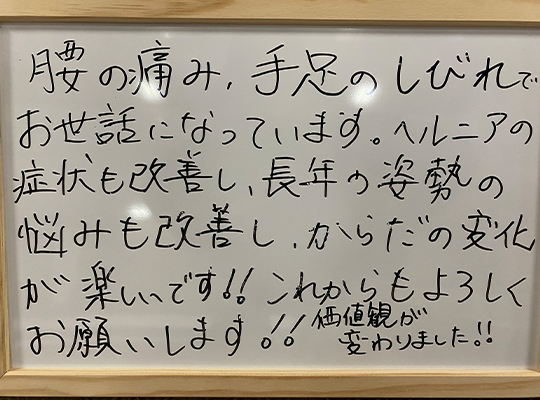 実績・お客様の声
