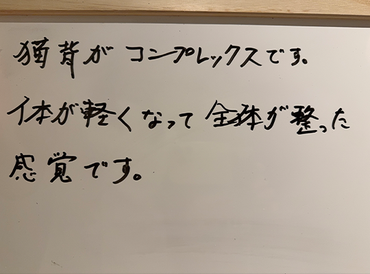 実績・お客様の声