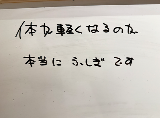 実績・お客様の声