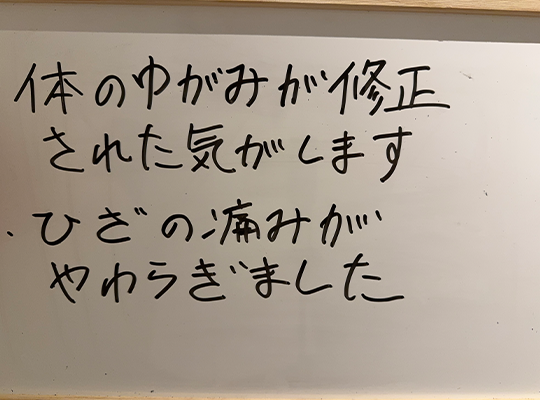 実績・お客様の声