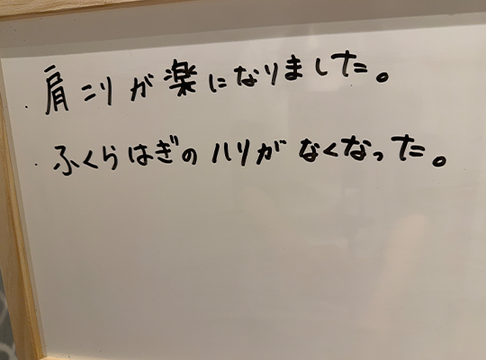 実績・お客様の声